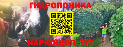 прущие грибы Кунгур